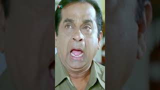 పోలీస్ కుక్కని చంపడానికి బ్రహ్మి ప్లాన్😂 | Ramachari Movie | Venu Thottempudi | Brahmanandam | Ali