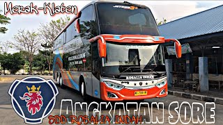 HUNTING BIS‼️SATU SATUNYA KASTA BUS TERTINGGI RELASI MERAK DI TERMINAL SERUNI