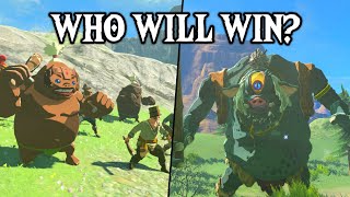Monster Control Crew VS HINOX! | Zelda: Tears of the Kingdom by ThornyFox 168,000 views 7 months ago 7 minutes, 44 seconds