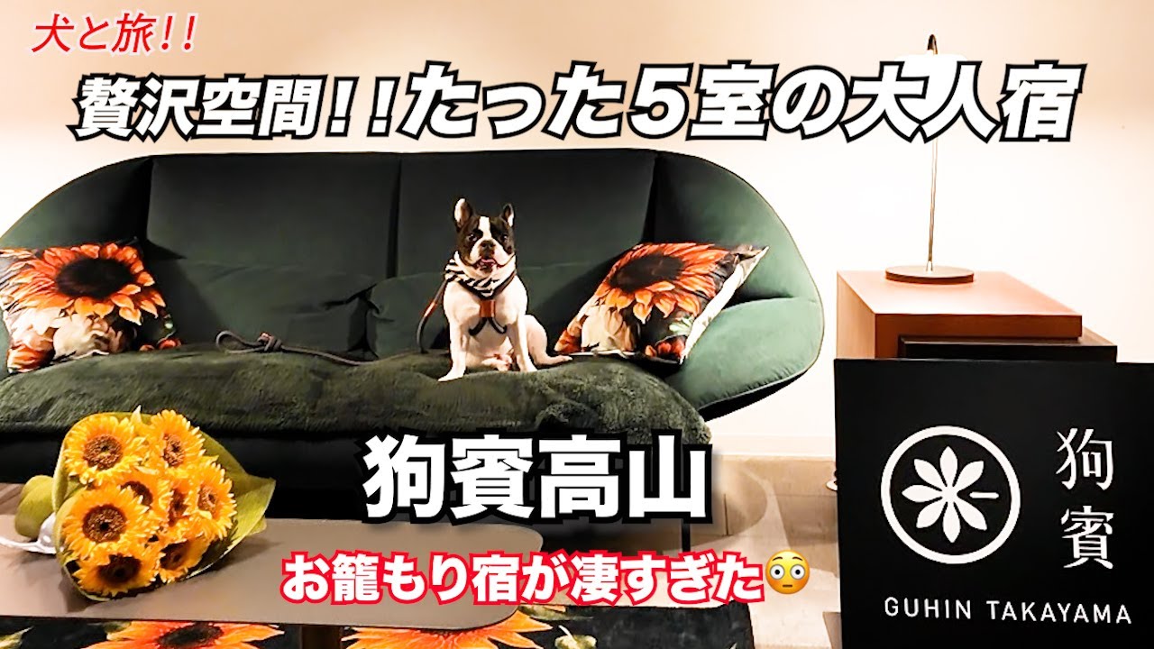 『たった５室の大人宿』狗賓高山で過ごす愛犬と夏のお籠もり旅が最高すぎた⚡️