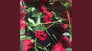she's in my dreams - gin$eng