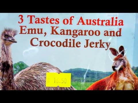 Exotic Animal Taste Test with Marcus
