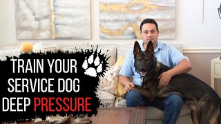 How to train your service dog deep pressure | Service dog training