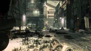 Call Of Duty Black Ops on ATI Mobility Radeon HD 4250