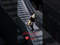 لو رحتي بتضلي بقلبي  mp3