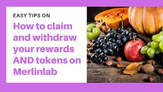 How to Claim Your Yield Farm Rewards from the Merlinlab Platform With Ease screenshot 2