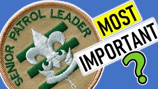 Most Important Scouting Job - Eagle Scout October Status Update