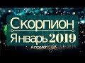 СКОРПИОН ♏ Январь 2019 / Затмение в 3 и 10 доме / Астролог Olga