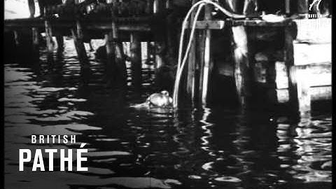 Demo Of Cutting Tool Underwater (1920-1929)