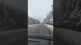 #ДорогаПрирода #NatureDrive #RoadTrip #Природа #Aesthetic #Relax #DrivingPOV #YouTubeShorts