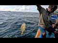 Catching Needle Fish, Horse-eye Jack &amp; Blacktip Trevally in the Sea