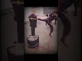 ياعيني ده اتصدم