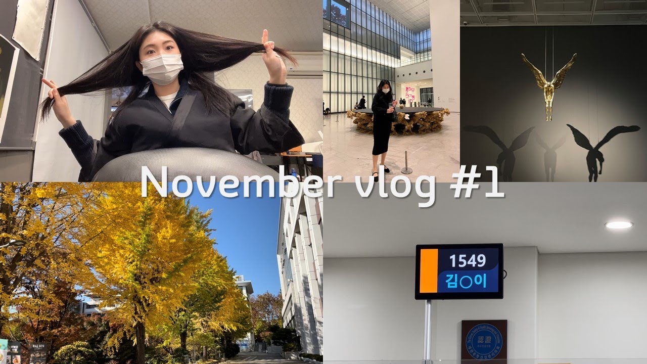 11월 브이로그✨/ #1 / 또 단풍기록 / 건강검진 / 미용실 / 국립현대미술관
