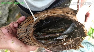 cách đắp bờ suối để bắt cá của người vùng cao