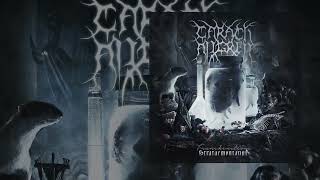 Carach Angren - Franckensteina Strataemontanus (drum cover by Fabio Mancinelli)