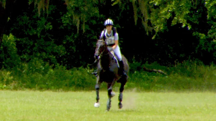 Stephanie Cordell  "Codename Toby"  Ocala Summer H...
