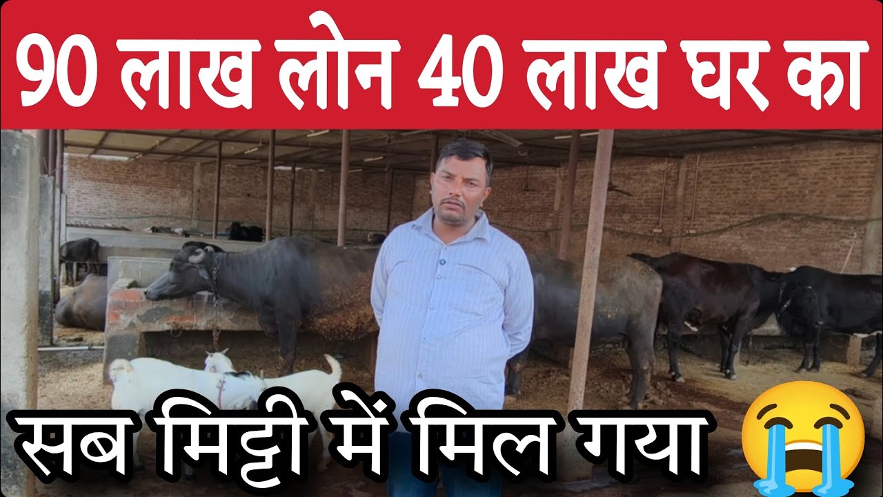 1 करोड़ 30 लाख डूब गए 🥹 घर खेत जमीन बेंचकर भरा लोन 🥲 dairy farm profit and loss 😭