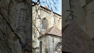 Hildegard-inspired Gregorian Chant with Harp for Deep Sleep &amp; Stillness | Stone Chapel Ambience
