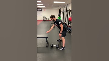 SA Row (3 Point Stance)