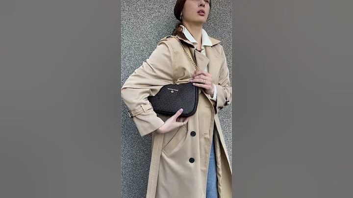 Michael Kors Jet Set Charm Small Logo Pochette Brown