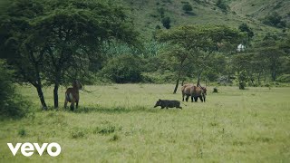 Iryn Namubiru - Amaaso (Official Video)
