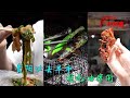 【JASON劉雨鑫】貴州貴陽必去的早市,油榨街的逛吃攻略 #探店美食 #美食 #旅行 #美食家 #吃货 #熱門