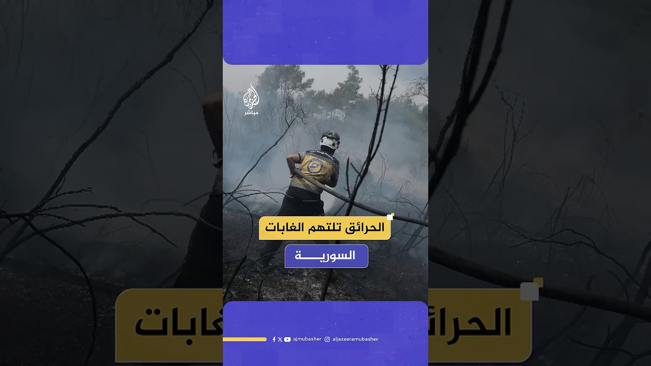 الحرائق تلتهم الغابات السورية لليوم الثالث على التوالي والجيش يبدأ المشاركة في الإخماد