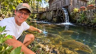 I Tried Fishing a Tiny Cider Mill Creek for GIANT Fish