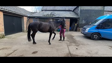 Module 3 Video – Final