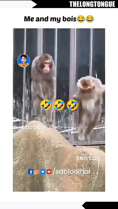 Patali kamariya #nattu #natkhat #viralshort@Nattunatkhatshort