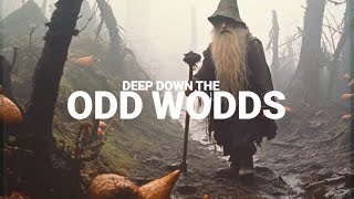 Deep Down The Odd Woods