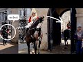 Disrespectful tourists contributed for this happened at changing of the guards in london