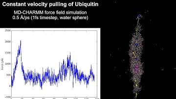 MD-CHARMM simulation ubiquitin (constant pulling velocity)
