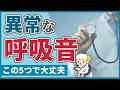 【この5つで十分】異常な呼吸音を呼吸器ドクターが解説