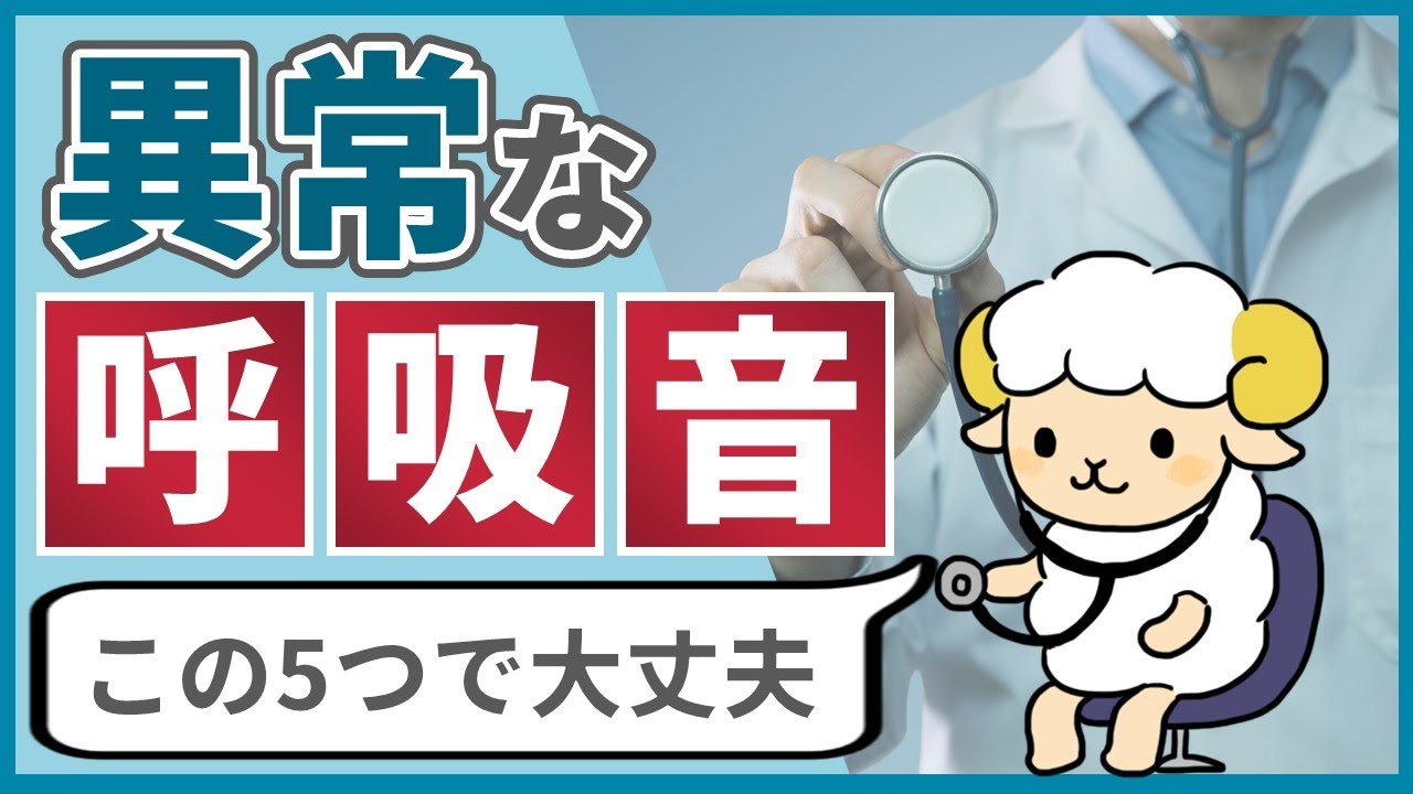 【この5つで十分】異常な呼吸音を呼吸器ドクターが解説 YouTube