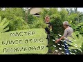 И снова немного о травах. Мастер класс от И.С. Пыжиковой