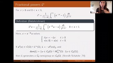 Fractional elliptic equations in nondivergence form, Mary Vaughan
