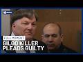 Long Island Serial Killer Pleads Guilty to Gilgo Killings | 10 News