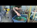Panning St. Patrick's Day Gold @OccasionalOutlaw paydirt bag pan out