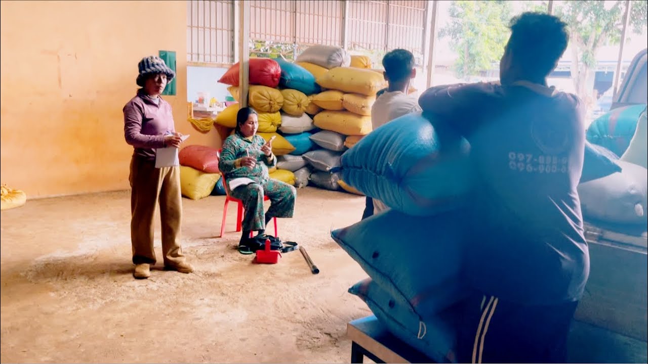 រៀបចំយកម្រេចទៅលក់ I am learning to pick pepper to sell.@SokleangFamilylife