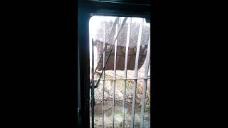 Volvo EC480D Loading dirt on trucks