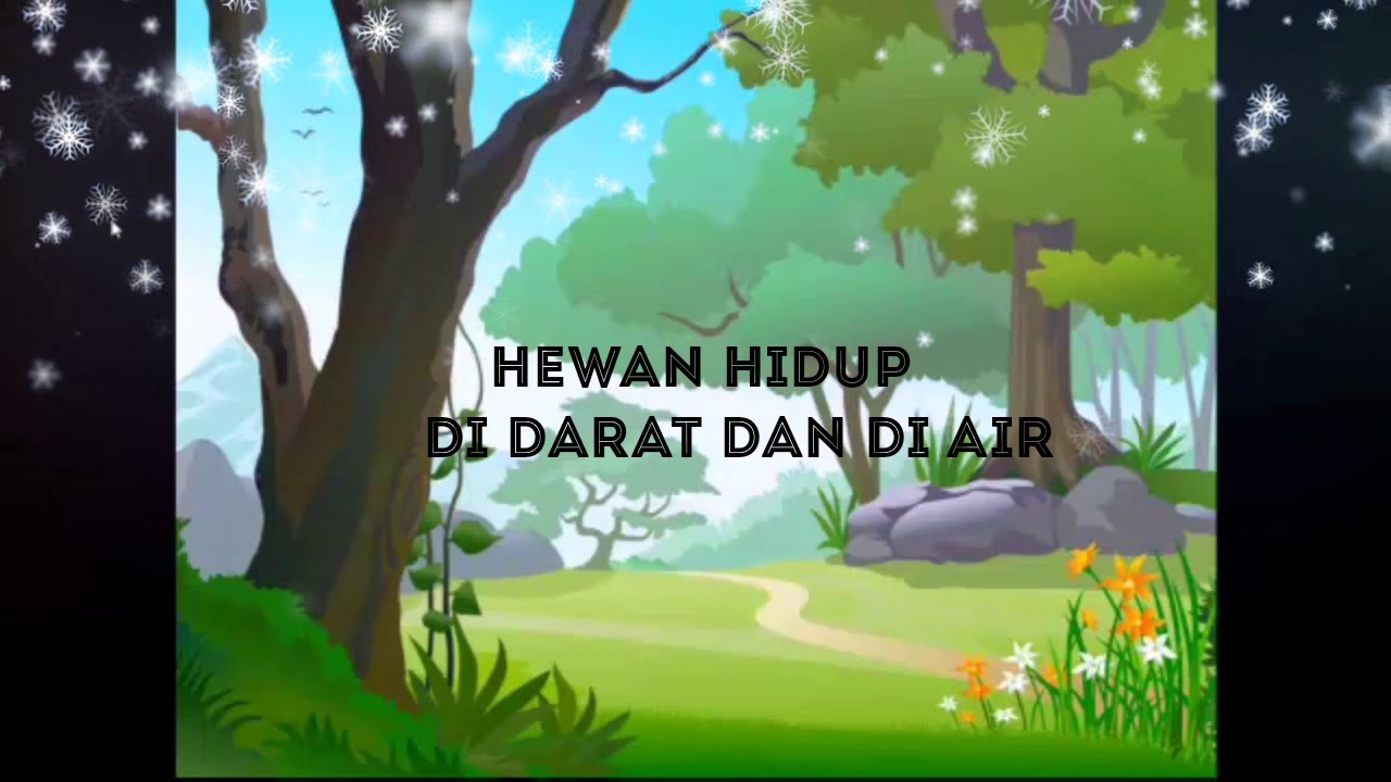 Mengenal jenis hewan  hidup di darat  dan  di air  YouTube