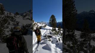 Fuoripista In Dolomiti