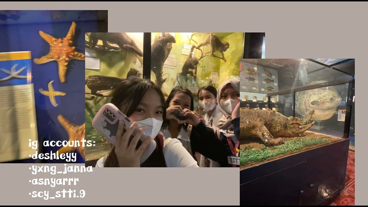 Slice of life: school museums, gala