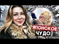 Япония! Парк Джигокудани - Снежные Обезьяны Купаются в Термальном Источнике