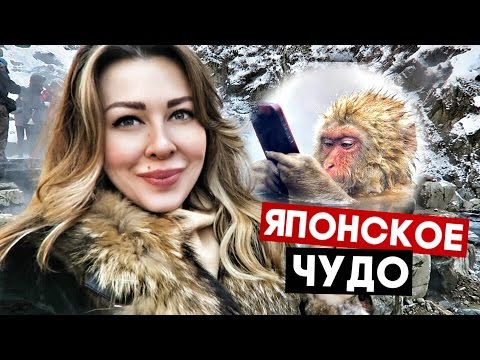 Видео: Как посетить снежные обезьяны Японии: парк обезьян Джигокудани