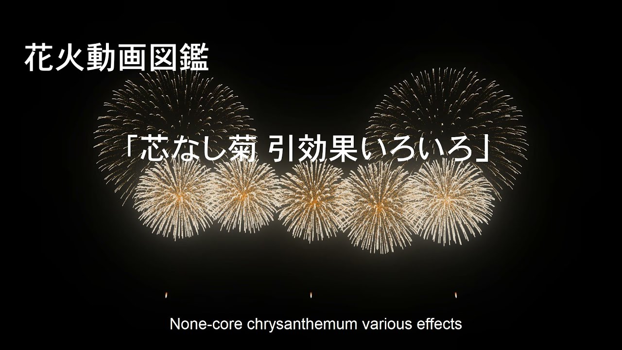 花火動画図鑑 芯なし菊 引効果いろいろ Fwsim Youtube 花火動画図鑑 芯なし菊 引効果いろいろ Fwsim Youtube