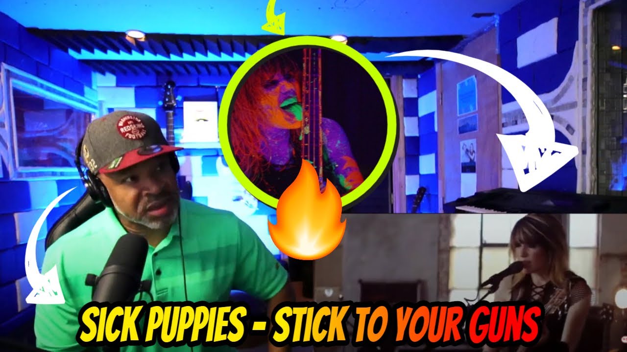 Sick Puppies - Stick To Your Guns - Producer Reaction