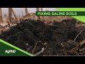 Fixing Saline Soils #1084 (Air Date 1-13-19)