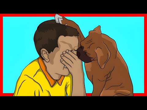 Vidéo: Qu'est-ce que cela signifie quand un chien vous apporte ses os et les laisse près de vous?